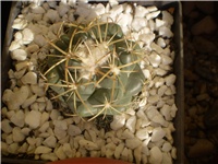 13680da5-Picture 7156.jpg